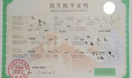 怎么给娃娃过户房产证明(怎么给娃娃过户房产证明模板)