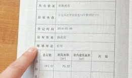 开店怎么查房产证信息(开店怎么查房产证信息是否正常)