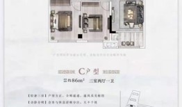 江洲雪域房产怎么样(雪域江南在什么地方)