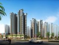 山东鑫汇房产怎么样(山东鑫汇房地产)