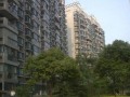 中宁雅居房产怎么样(中宁县雅泰城市花园图片)