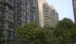 中宁雅居房产怎么样(中宁县雅泰城市花园图片)