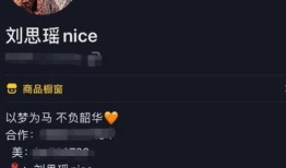 做房产怎么开抖音直播(做房产怎么开抖音直播呢)