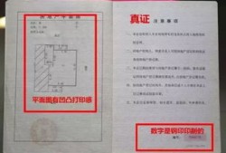 怎么辨别龙宫房产证真假(龙宫是什么样的?