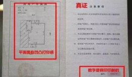 怎么辨别龙宫房产证真假(龙宫是什么样的?