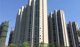 大量抛弃房产会怎么样(大量抛弃房产会怎么样吗)