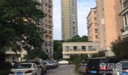 鼎佳源房产怎么样(鼎佳集团)