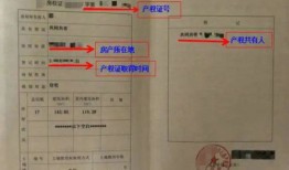 小升初房产证号怎么填写(小升初报名房产证号录哪个)