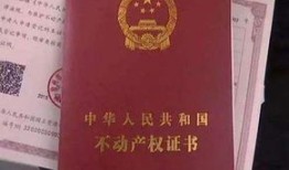 名下房产查询公司怎么查(查名下房产去什么部门)