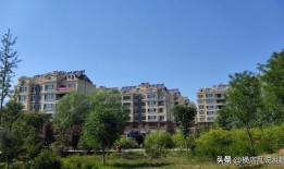 莘县房产市场怎么样啊(莘县房产网)
