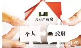 房产共有人转卖怎么办(房产共有人转卖怎么办手续)