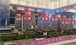 苏州阿俊房产怎么样(苏州俊家房产电话)