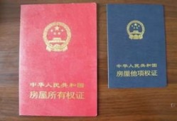 共有房产证怎么注明(共有房产证怎么注明的)