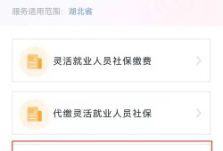 鄂汇办怎么查房产备案(鄂汇办可以查询不动产记录吗)