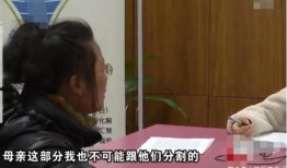 老大媳妇分房产怎么分的(老大媳妇应该怎么当)