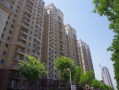 巨森房产文员怎么样(巨森建筑怎么样)