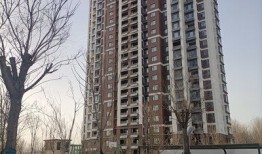 平湖锦城春天房产怎么样(平湖锦城春天属于哪个社区?