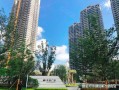 珠海横琴府房产怎么样(横琴府价格)