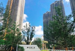 珠海横琴府房产怎么样(横琴府价格)