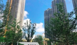 珠海横琴府房产怎么样(横琴府价格)
