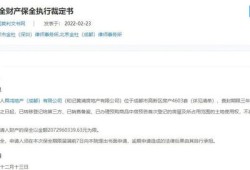 查封成都的房产怎么办(查封成都的房产怎么办理)