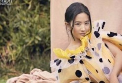 姐姐老想抢房产怎么办(姐姐抢着买单怎么办)