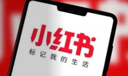 房产怎么入驻小红书平台(可以在小红书上推销房产)