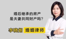 海外婚后房产怎么继承的(国外婚后财产)