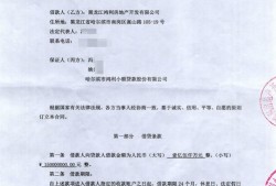 借款房产出借人怎么处理(借款房产出借人怎么处理合法)