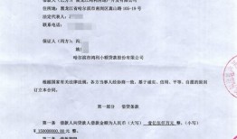 借款房产出借人怎么处理(借款房产出借人怎么处理合法)