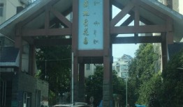 西藏房产中介怎么样(西藏房产网)