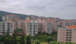 东莞新世界房产怎么样(东莞新世界花园百度百科)