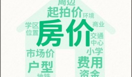 拍卖房产怎么竞拍的(拍卖房子竞价的技巧)