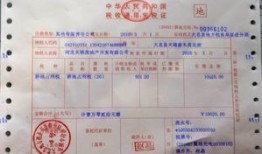 房产契税怎么看电子发票(房产契税怎么看电子发票明细)