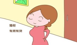 男友自己有房产怎么办(男朋友有房子婚前我自己再买一套可以吗)