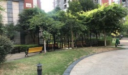 诚信房产进度怎么样啊(诚信房地产的房子怎么样)