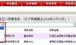 上海房产预售证怎么查(上海新房预售证网上查询)