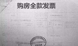 公积金无房产证明怎么开(公积金无房产证明在哪里开)