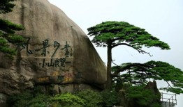 黄山易弘房产怎么样(黄山易弘房产怎么样啊)