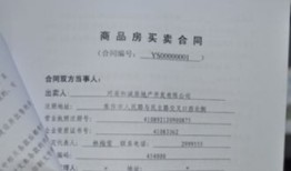 房产个税税单怎么填报的(房产个税怎么征收)