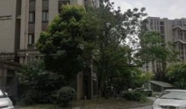 江桥中介房产怎么样(江桥中介房产怎么样啊)