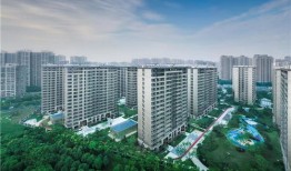 青龙板块新房产怎么样(青龙楼盘)