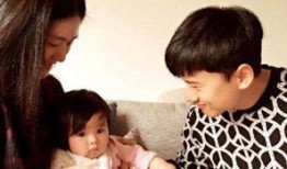 双胞胎姐妹房产怎么分(双胞胎买房)