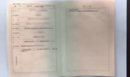 自己房产证查询怎么查询(自己房产证查询怎么查询不到)