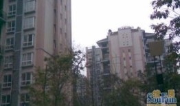 睢宁时威房产怎么样(睢宁时代花园在哪儿)