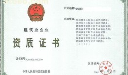 房产执照美国怎么办理的(房产执照美国怎么办理的呢)