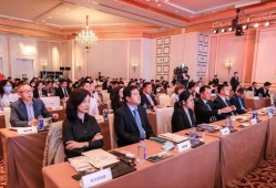合肥政府投资房产怎么样(合肥政府投资房产怎么样知乎)