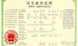 入学提交房产资料怎么写(入学提交房产资料怎么写申请)