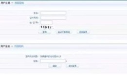 怎么调取该房产的出租记录(怎么查出租房)