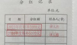 房产证份额比例怎么分(房产证份额比例怎么分的)